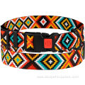Training Pet Collar Dog Accessories Dog Collars Collars